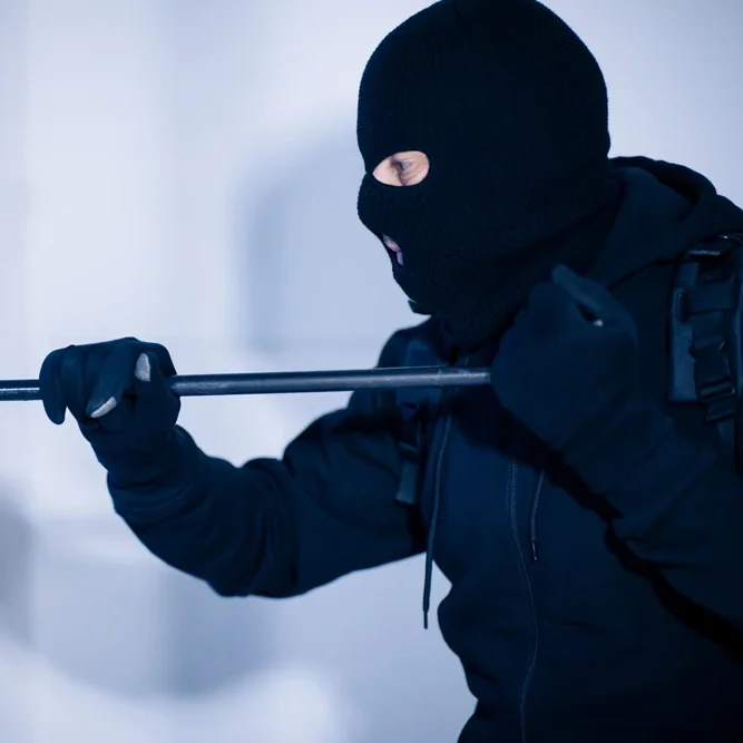 Side view portrait of disguised prowler breaking house